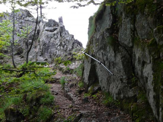 le début du sentier des roches à la Schlucht (88)