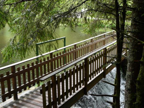 Passerelle et retenue du vallon de Belbriette (Xonrupt - 88)