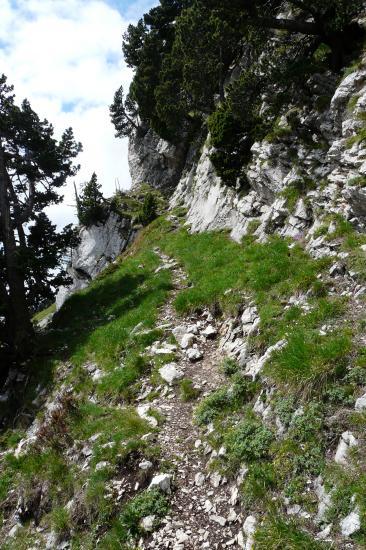 le sentier qui amène au pas qui mène au jardin