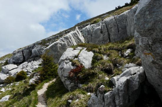 la dernière rampe de la montée de chamechaude depuis la cheminée