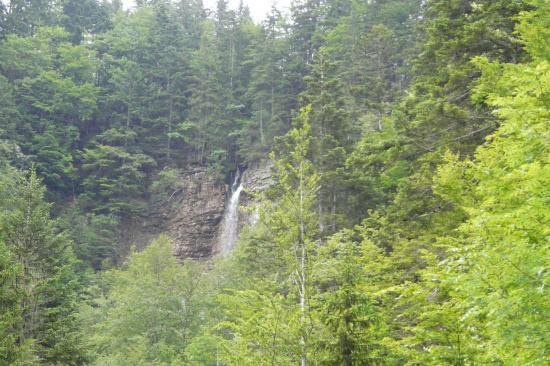 la cascade du guiers mort un peu plus bas que la source