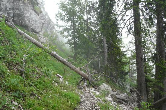 chemin pas entretenu ...ça se confirme !