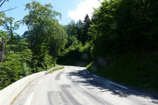 dans la montée d' Alpe du grand Serre