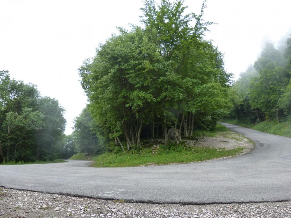 De jolis lacets en épingle dans la montée au relais du Chat !